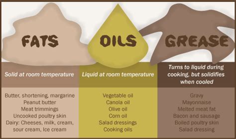 Fats, Oils and Grease and Their Impact on Your System | Garden City, GA