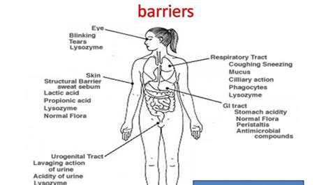 Anatomical and Physico-chemical barriers of immune system