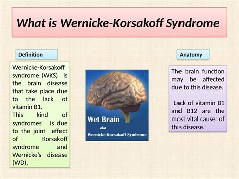 Wernicke-Korsakoff Syndrome: Causes, Symptoms, and Treatment