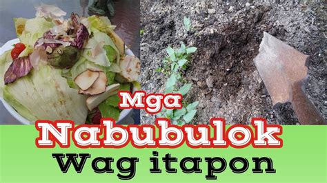 Mga Nabubulok At Hindi Nabubulok Na Basura - bagay tulala