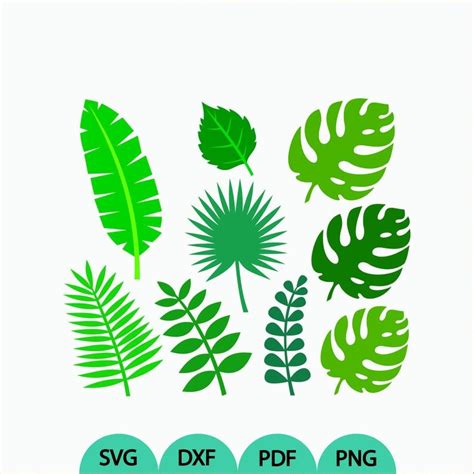 Tropical Leaf Outline Svg Tropical Leaf Icons Bodegaw - vrogue.co
