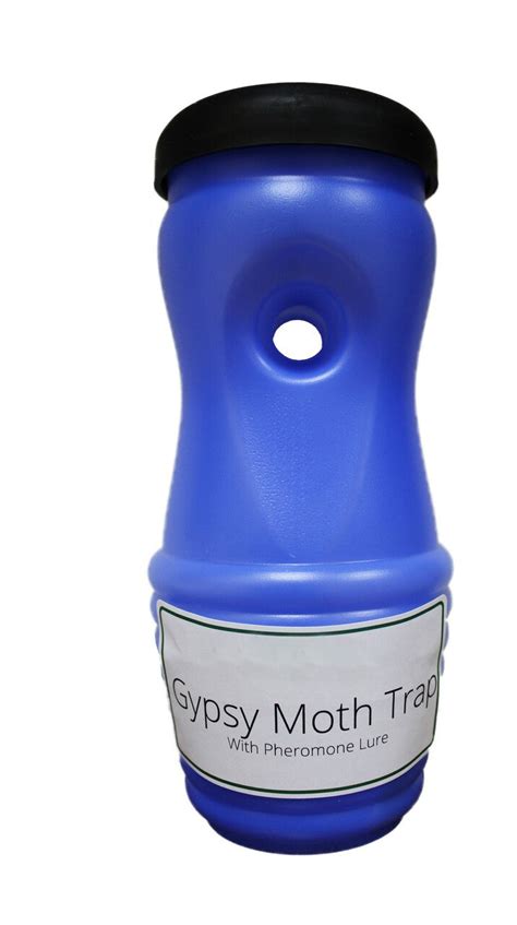 Buy Spongy (Gypsy) Moth Trap, Reusable Online With Canadian Pricing - Urban Nature Store