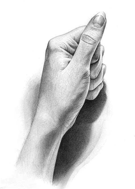 Pin by Alicia G on Inspiration Drawings | How to draw hands, Still life ...