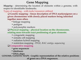 Genetic Mapping