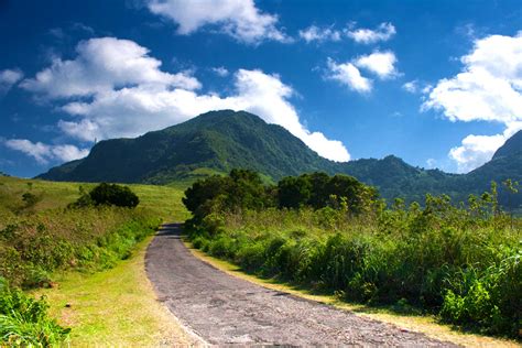 Sri Lanka Hill Station and Beach Tour - Sanki Leisure