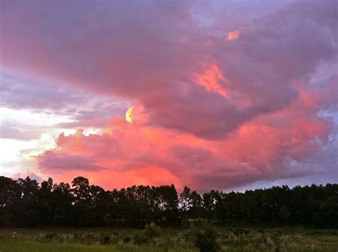 Pink sunset clouds | Clouds, Sunset, Pink sunset