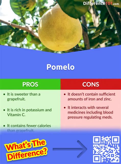 Grapefruit vs Pomelo: 6 Key Differences, Pros & Cons, Examples | Difference 101