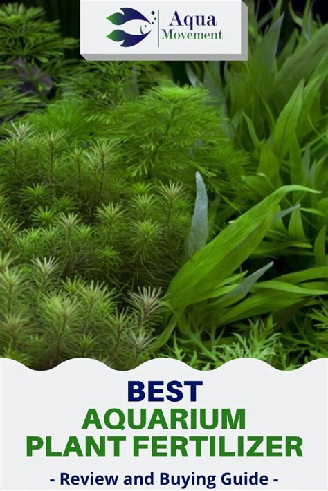 Best Aquarium Plant Fertilizer - Top 7 Review | Aqua Movement | Fertilizer for plants, Planted ...