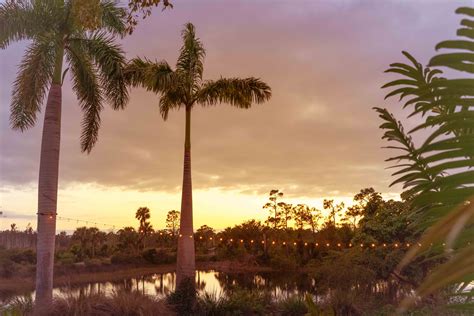 Naples Botanical Garden