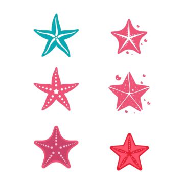 Sea Star Fish Icon Template Vector Shape Coral Starfish Vector, Shape, Coral, Starfish PNG and ...