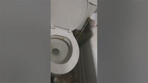 skippity toilet - YouTube