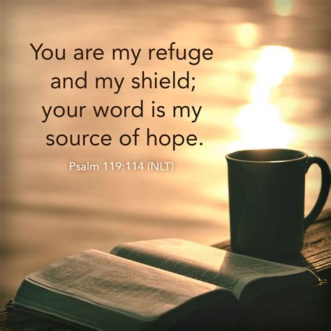 Find Refuge and Hope in God's Word