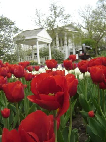 Old Prairie Town at Ward-Meade Historic Site and Botanical Garden - 4 Things to Know Before Visiting