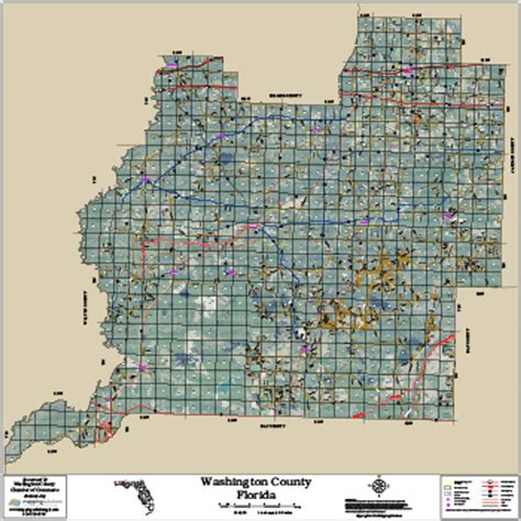 Washington County Florida 2016 Aerial Map, Washington County Florida ...