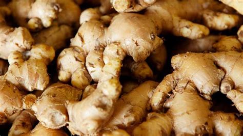 Top five varieties of ginger and their uses - 24 Mantra Organic