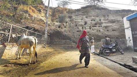 Living with the past: How Rakhigarhi residents share space with the remains of one of India’s ...