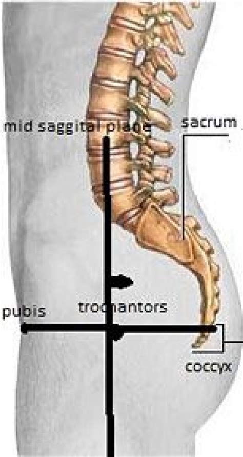 Pin on Lower Back Pain