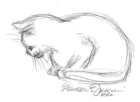 Pin by Mary Sargent on cats | Cat sketch, Cat pencil sketch, Animal drawings