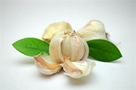 Garlic - Organic garlic, natural medicine, antibiotic | Organic garlic, Garlic, Natural medicine
