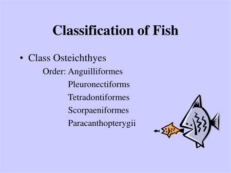 PPT - Classification of Fish PowerPoint Presentation - ID:53459