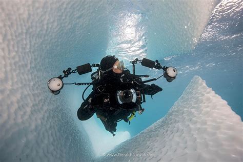 Nestled in the seventh continent - Iceberg diving in the Antarctic ...