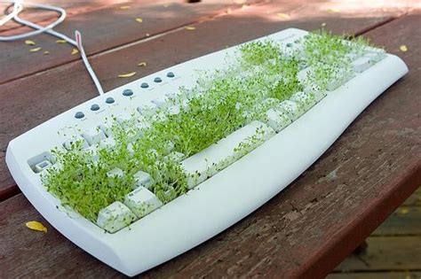 How to Grow Green Grass on your Keyboard - Digital Inspiration ...