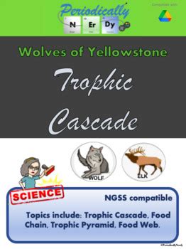 Wolves of Yellowstone Trophic Cascade by Periodically Nerdy | TpT