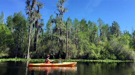 Kayaking the Okefenokee Swamp – Tales of a vanlife couple