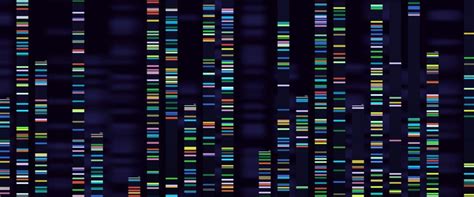 Exploring the Applications of DNA Sequencing