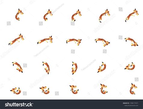 Cartoon Giraffe Character Tumble Roll Animation Stock Illustration 1798177471 | Shutterstock