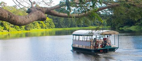 Kuranda Village Wildlife - Wet Tropics Rainforest Animals