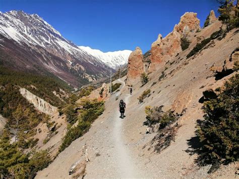 Tilicho lake trek [Cost & Tilicho Lake Best Time] - Nepal Trek Hub