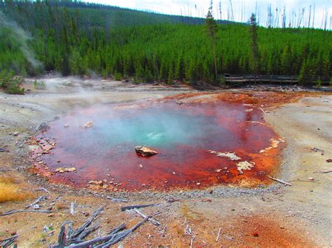 YNP - Norris Geyser Basin - Travel with Lynn and Allen