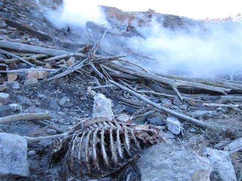 Psicológico Macabro: Centralia a Silent Hill do Mundo Real