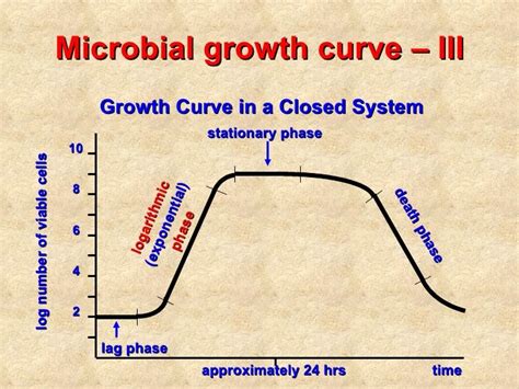 03 bacterial growth_2008