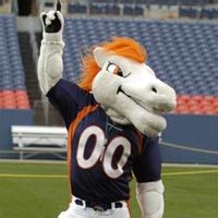 Broncos - National Football League Mascots