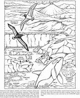 Antarctica Coloring Page  Team Coloring sketch template