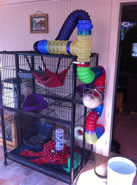 Ferret cage, Ferret cage diy, Ferret toys