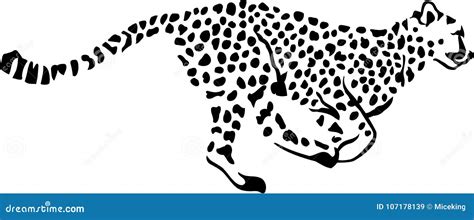 Running Leopard Gepard stock vector. Illustration of leopard - 107178139