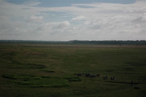 The Silent One: Hesaraghatta Lake