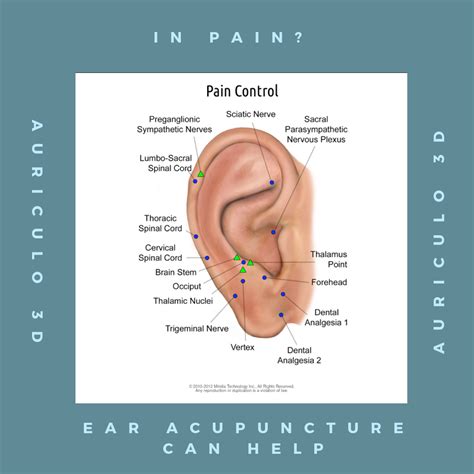 Ear Piercing Pain Chart By Experience