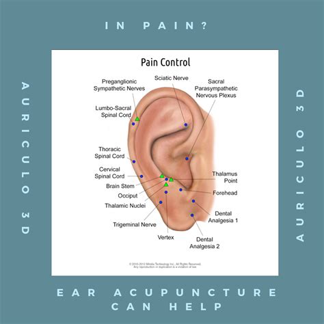 Pin on Ear Acupuncture