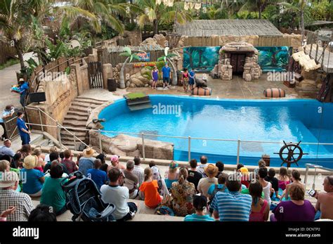 Seal show at uShaka Marine World, Durban, South Africa Stock Photo ...