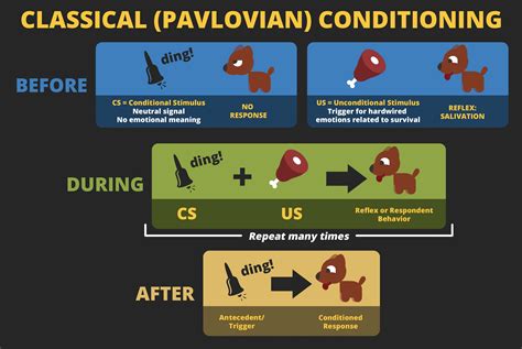 Classical Conditioning Examples