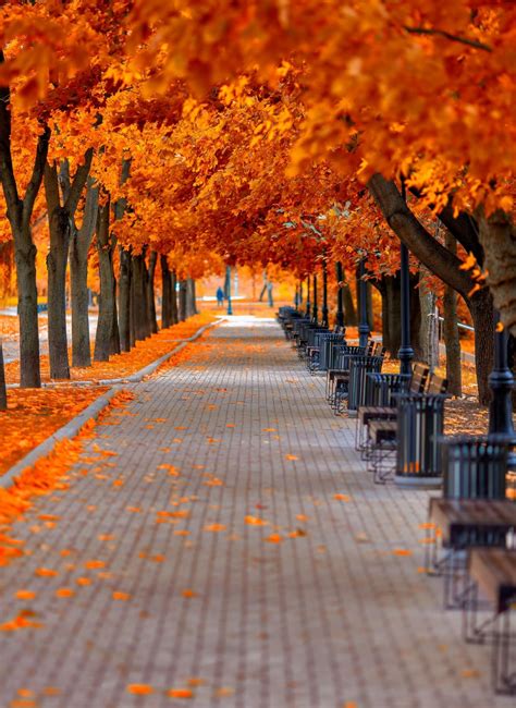 Autumn Cozy | Autumn scenery, Fall pictures, Scenery