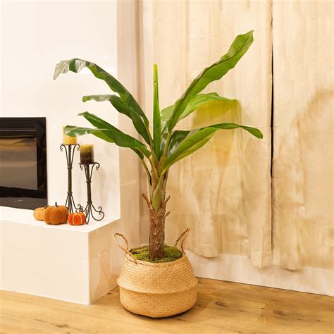 BIRCHCITY 50" Artificial Banana Leaf Tree Faux Potted Banana Tree | Wayfair