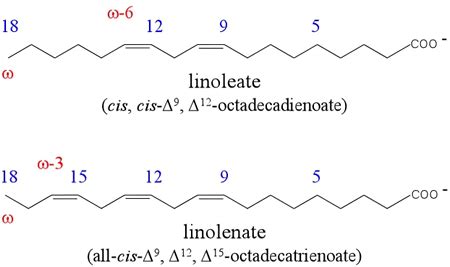 CHEM 245 - Fatty acids