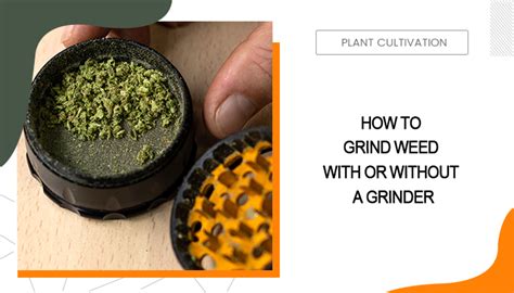 How to Grind Weed With or Without a Grinder