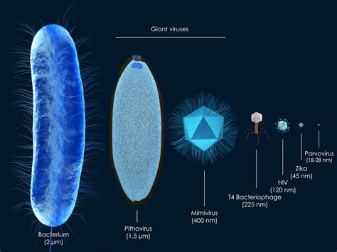 【武漢肺炎】病毒不等於細菌？5個病毒和細菌不同之處 | UrbanLife 健康新態度