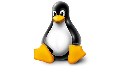 Linux Logo: valor, história, PNG